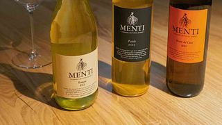 Experiência Terroir na Menti Giovanni Società Agricola