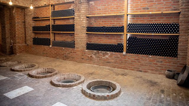 Vinprovning och rundtur på Winery Gremi