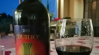 Cata de vinos y visita guiada en Azienda Agricola Montaioncino