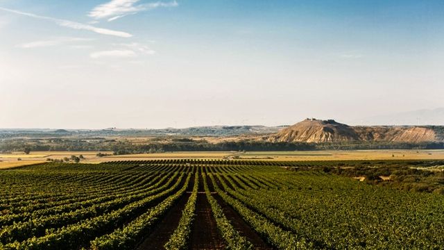 Bodegas Ochoa