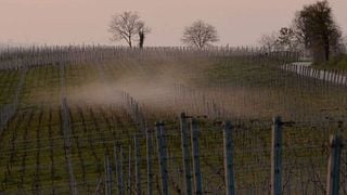Weinprobe und Tour bei der Società Agricola Silenzi Di Terra