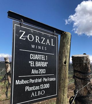 Cata de vinos y visita a Bodega Zorzal