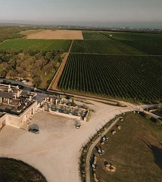 Explorador de vinos