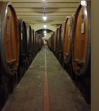 Erleben Sie eine Weintour in Capezzana