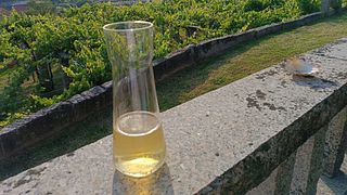 Vigo: Esperienza enogastronomica in campagna