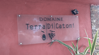 Cata de vinos y visita guiada en Domaine Terra Di Catoni