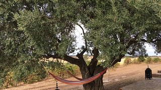 Wine Tasting Experience at Medeiros Winery
