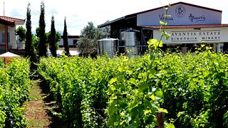 Weinprobe und Tour im Weingut Rios Lovell Estate
