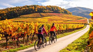 Passeio de bicicleta elétrica + degustação de vinhos
