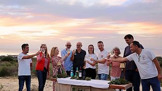 Dégustation de vins avec balade dans le vignoble