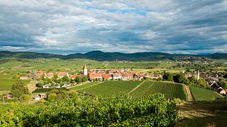 Dégustation de vins au Burkheimer Winzer Am Kaiserstuhl Eg