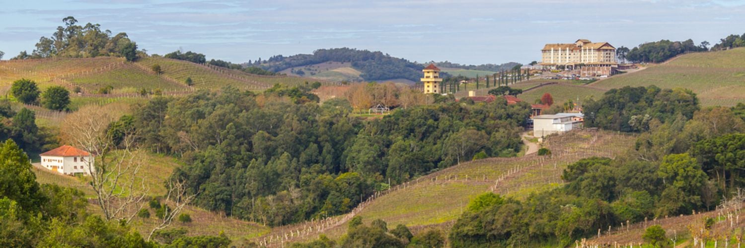 Village and Vineyards in winter, Vale dos Vinhedos valley