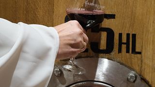 Vinprovning och rundtur på Fattoria Camporignano