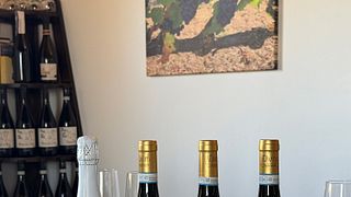 Découvrez le Piémont : une dégustation de vins blancs et une expérience viticole