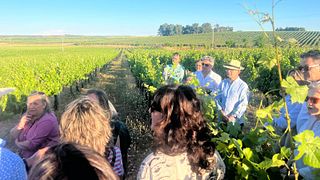 Vineyard Hike, Guided Winery, Castle Tour & Signature Tasting