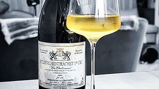 Vinprovning och rundtur på Domaine de la Choupette | Gutrin Fils