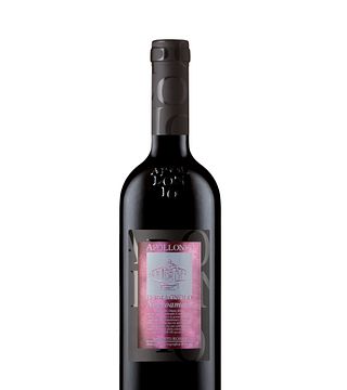 Esperienza Negroamaro presso la Cantina Apollonio 1870