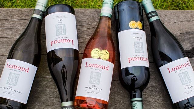 Dégustation de vins du domaine à Lomond Winery