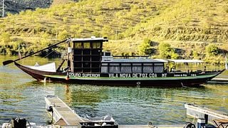 Tours e picnic a Quinta da Vineadouro