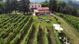 Monteveglio wine experience at Podere Casa Piana in Bologna's countryside
