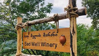 Dégustation de vins et visite de la cave Sad Meli