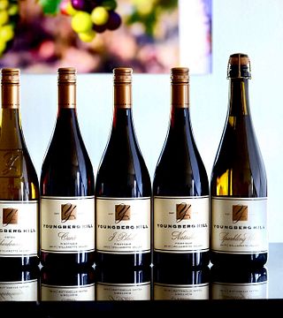 Degustazione di vini classici e tour a Youngberg Hill
