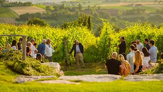 Vigneron-Mittagessen mit Führung und Weinprobe