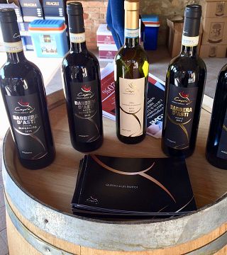 Piedmont Wine & Vineyard Journey at Tenuta Capri