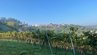 Atelier du vin Wurtemberg