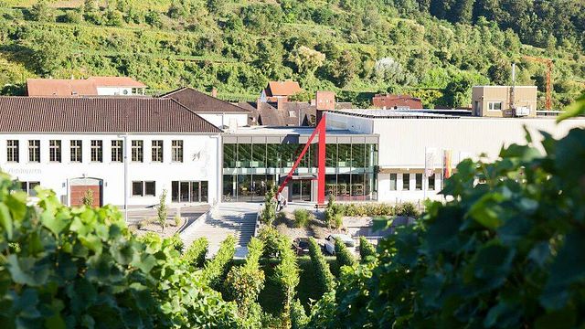 Baden Wine & Cellar Tour with Tasting