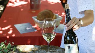Weinprobe und Führung im Weingut Barta