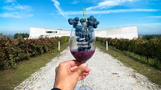 Pique-nique au vignoble de Caminhos Cruzados