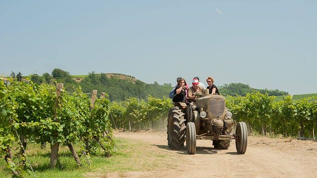 Degustazione e visita alla Cascina Lana