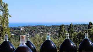 Wine Tasting at Domaine Des Hautes Collines De La Ote D'Azur