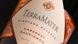 Escursionismo sulle colline dei vigneti, tour della cantina e degustazione di vini