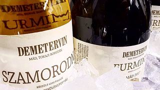 Upper Hungary Wine Journey at Demetervin