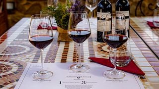 Explore Sangiovese Wines & Olive Oil in Montalcino