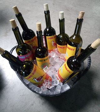 Degustazione di vini e cena
