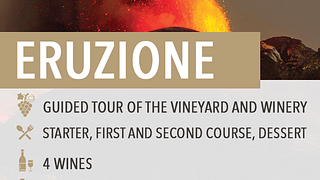 Degustação de vinhos e almoço/jantar leve "Eruzione"