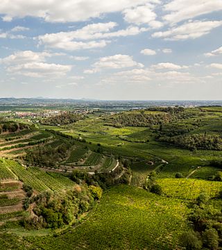 GRAZIANO PRA' azienda agricola