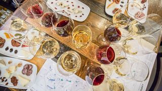 Upper Pannon Wine Journey: Tasting & Tales