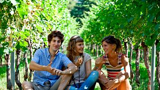 Cata de vinos y visita a la Cantina Gozzi