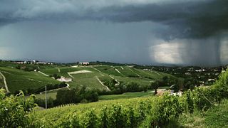 Weinprobe und Führung bei Azienda Agricola Caudrina