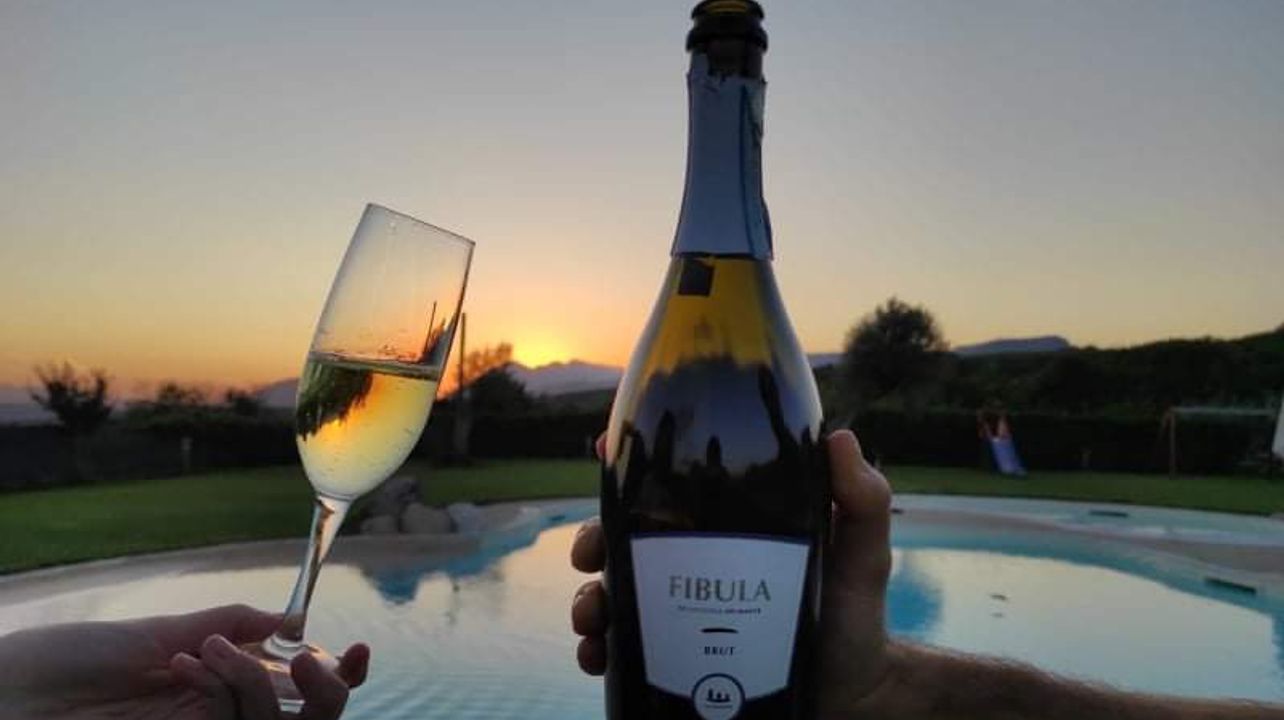 Experiencia básica en vinos en Cantina Pietreionne