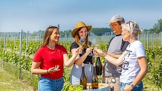 Pacchetto all-inclusive Wine Experience