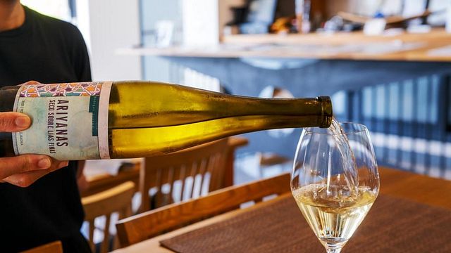 Visita a la bodega y cata de vinos