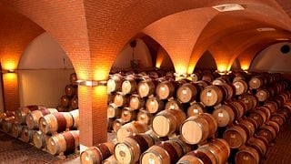 Memorable Wine Tasting and Tour at Maculan