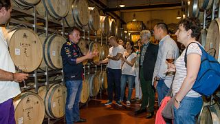 Muntenia Wine Journey: Cellar Tour & Tasting at Lacerta