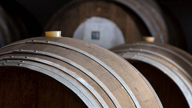 Familienangelegenheit: Weinprobe im Backsberg Estate Cellars