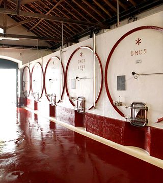 Lisbon Vineyard & Wine Delight at Quinta do Pinto